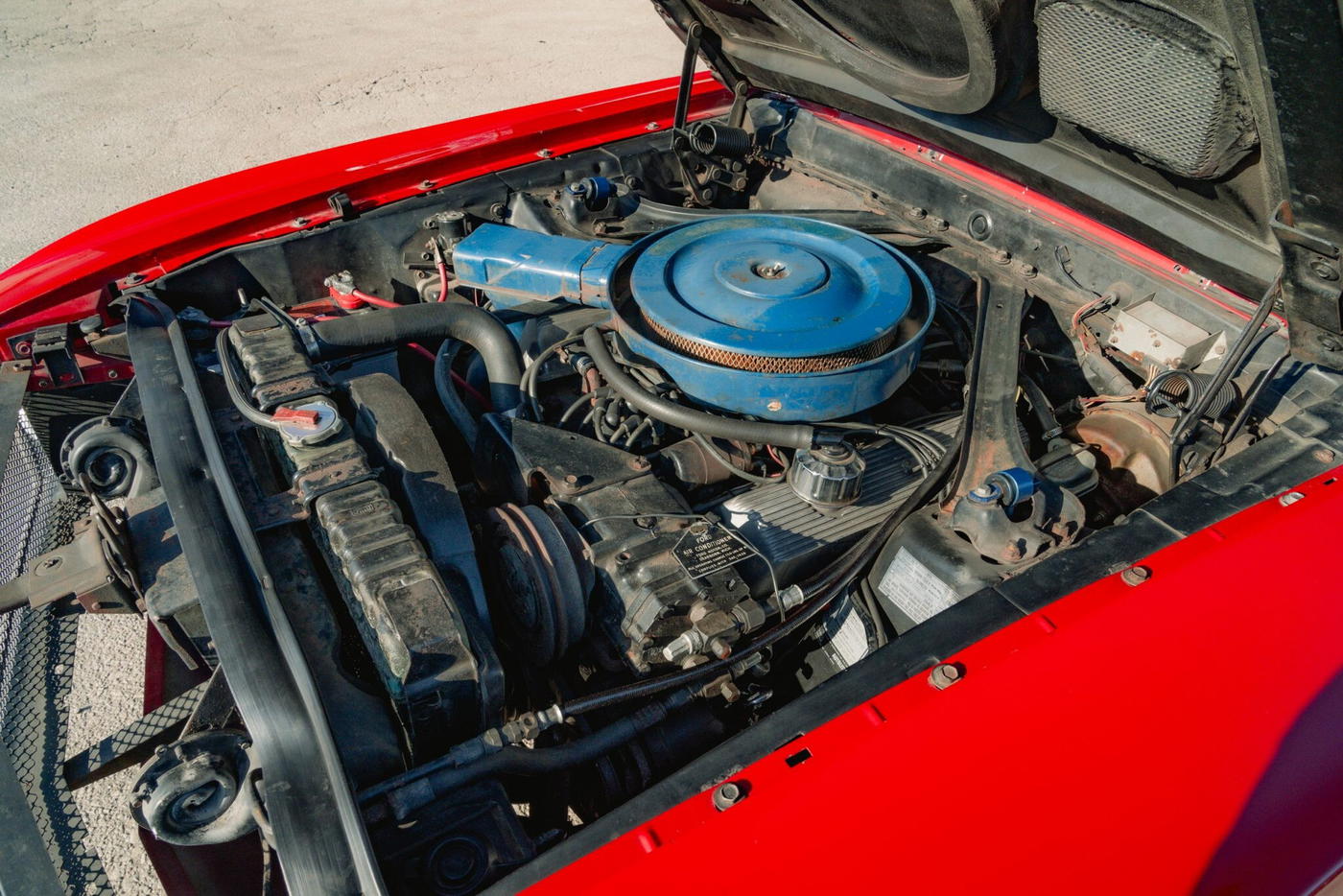 1969 Shelby Mustang GT500 Convertible